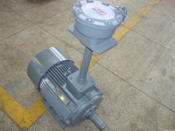 采煤機(jī)用防爆電機(jī)的轉(zhuǎn)軸軸承結(jié)構(gòu)都有哪些特點(diǎn)？