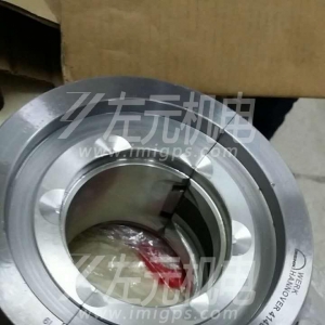EFZLB 11-110,EFZLB 9-80電機軸瓦，油封及油環(huán)應(yīng)用于化工行業(yè)電機