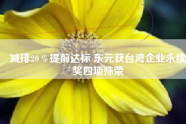 減排20%提前達(dá)標(biāo) 東元獲臺(tái)灣企業(yè)永續(xù)獎(jiǎng)四項(xiàng)殊榮