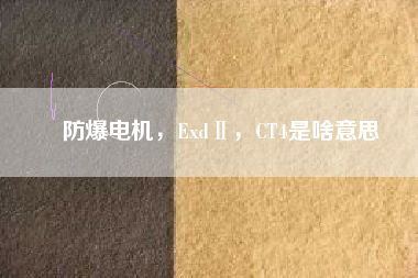 防爆電機，ExdⅡ，CT4是啥意思