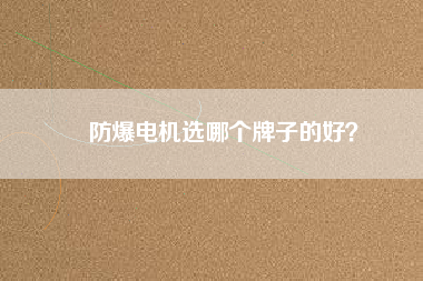 防爆電機(jī)選哪個(gè)牌子的好？